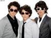 The Jonas Brothers are HOT!!.jpg