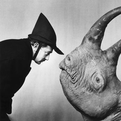 Dali & Rhino.jpg