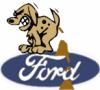 Poop on Ford.JPG