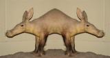 aardvark2.jpg aardvark2.jpg