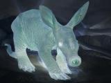 nuclear-aardvark.jpg nuclear-aardvark.jpg