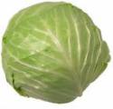 cabbage.jpg cabbage.jpg
