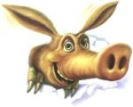 aardvark 5.jpg aardvark 5.jpg