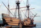 Mayflower.jpg Mayflower.jpg