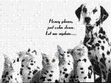 Dalmation.gif