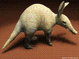 asphalt-aardvark-3.gif asphalt-aardvark-3.gif